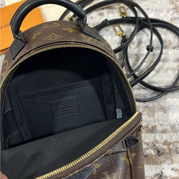 Louis Vuitton Palm Springs Mini - Picture 9 of 15